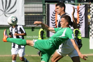 Nusmir Faji�